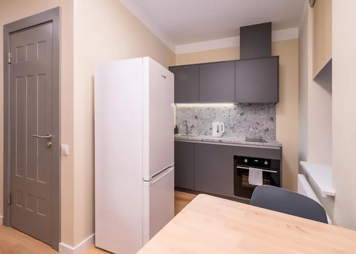 公寓 Valdemara Street By Innorental